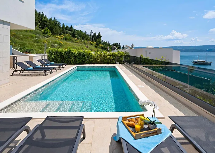 فيلة Ivan أوميس